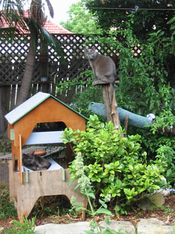 Bella and Yindee in garden