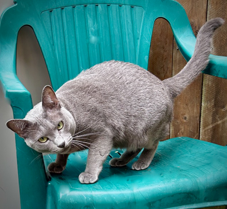 Blossom January 2024 (031)