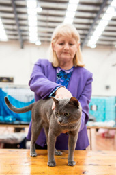 Luuk Chai good show photo