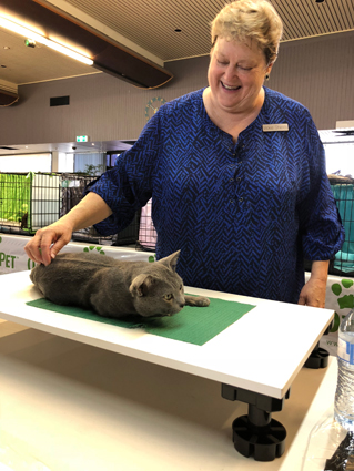 Zac with Judge at Show September 2018