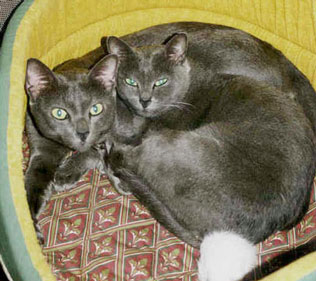 Zoe and Binky together